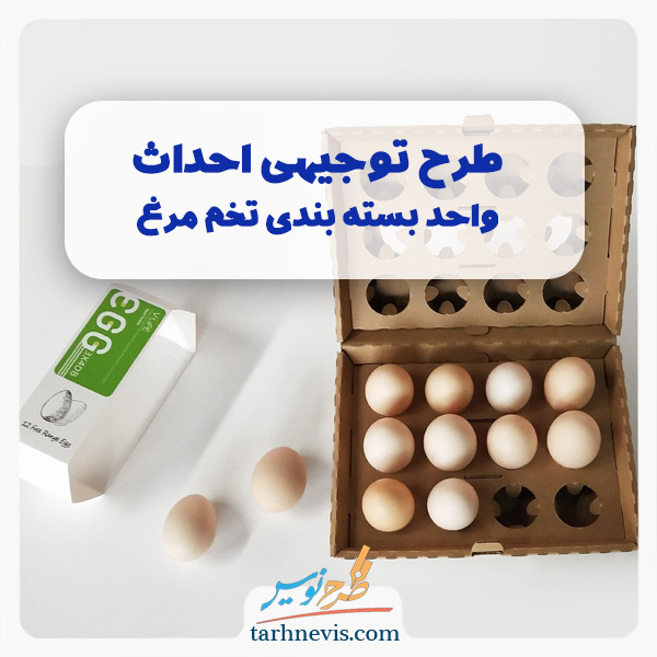 بسته بندی تخم مرغ