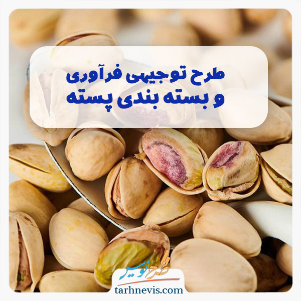 فرآوری و بسته بندی پسته